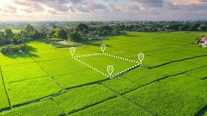 В ЖАМБЫЛСКОЙ ОБЛАСТИ ОКОЛО 275 ГЕКТАРОВ ЗЕМЛИ ВОЗВРАЩЕНЫ В ГОСУДАРСТВЕННУЮ СОБСТВЕННОСТЬ