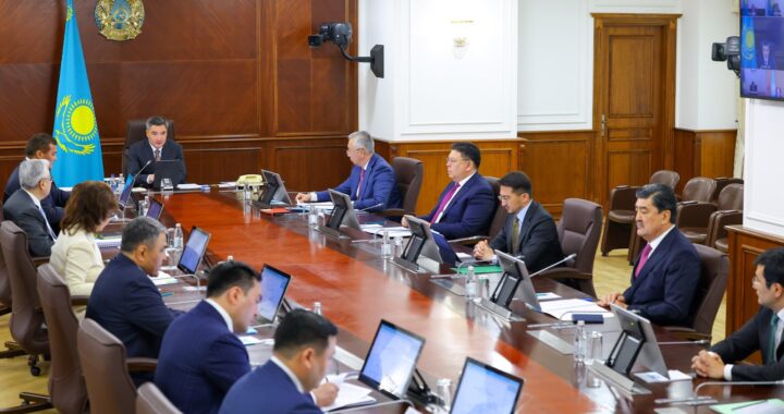 ПРЕЗИДЕНТ ТАПСЫРМАСЫ: КӨКТЕМГІ ЕГІС НАУҚАНЫ ҮКІМЕТТЕ ҚАРАЛДЫ