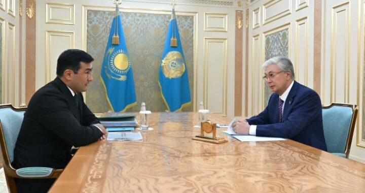 ПРЕЗИДЕНТ «БӘЙТЕРЕК» ХОЛДИНГІНІҢ БАСШЫСЫН ҚАБЫЛДАДЫ